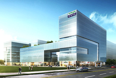 關(guān)于金環(huán)